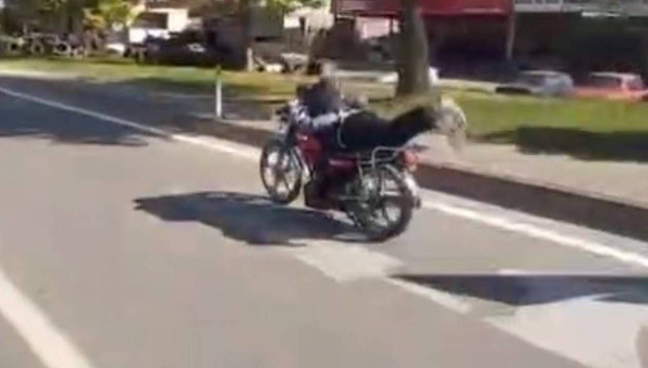 akrobatik hareketler pahaliya patladi 42 bin tl ceza G7T3W5xb