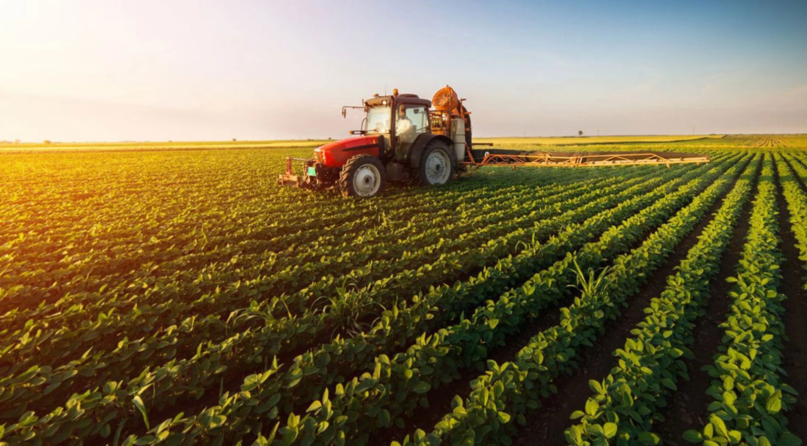 tarim sektorunde kotu haber p2jTF3Ya