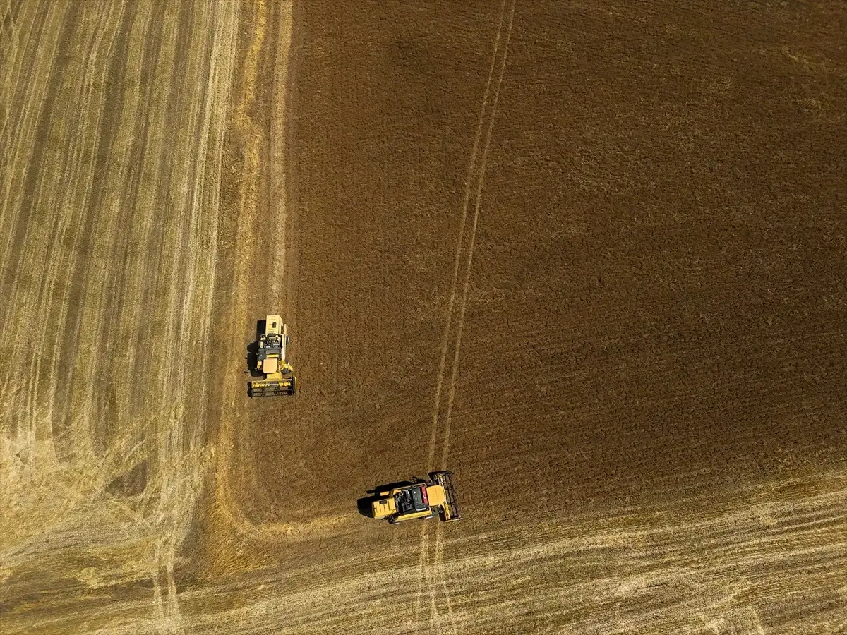 usakta corek otu uretimi yuzde 335 artti DI9br3FB