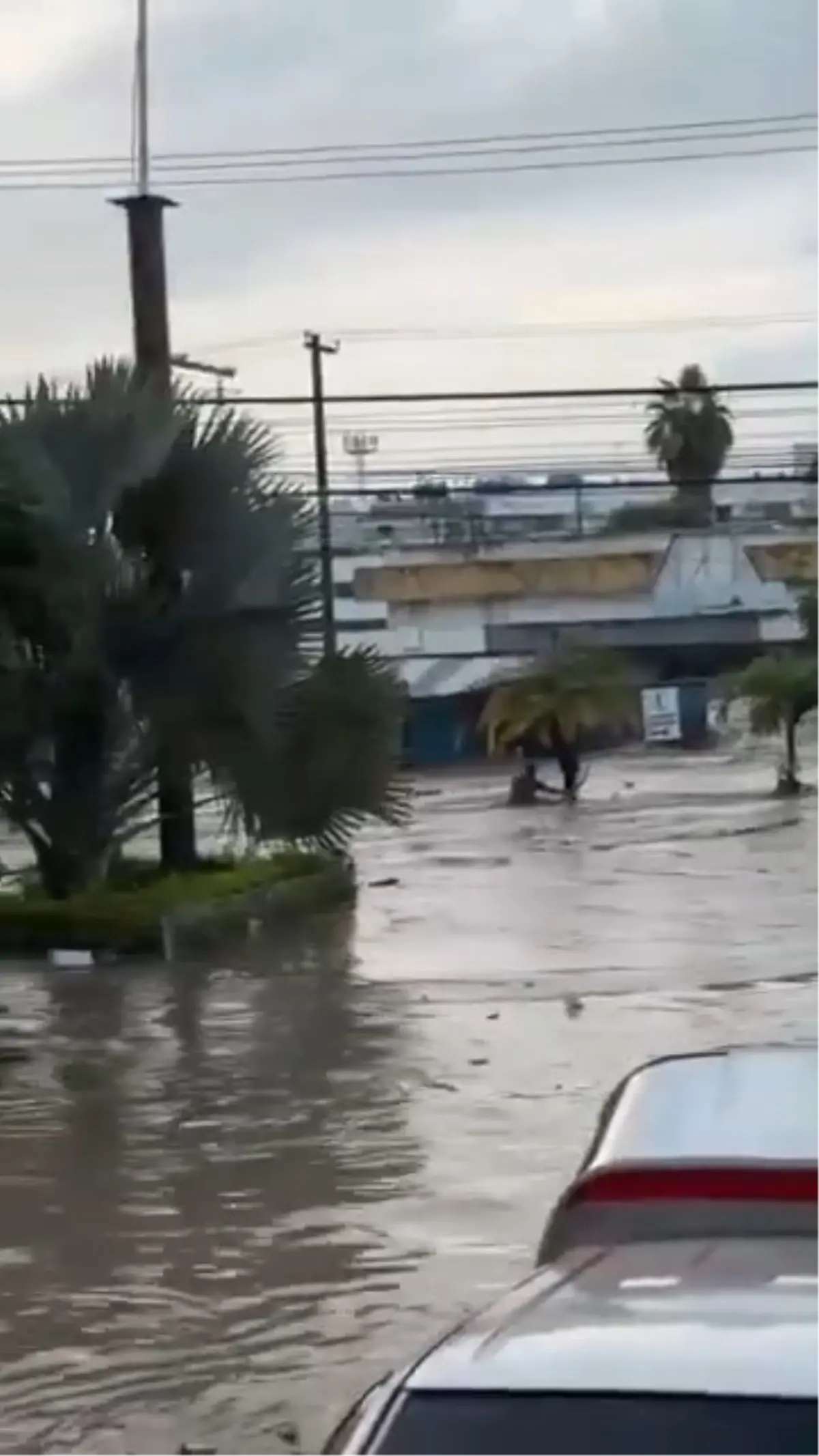 meksikada siddetli yagislar sele neden oldu 41 olu aLfLDt4j.jpg