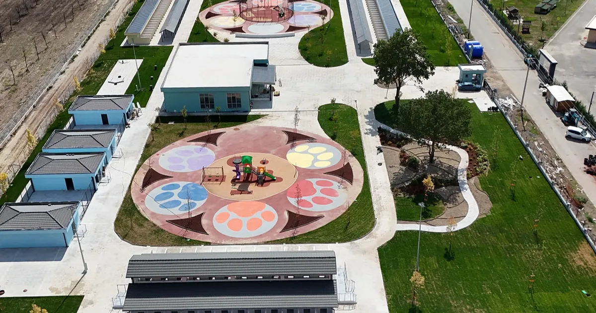 sakaryada sokak hayvanlarina guvenli yuva eLLQORDz