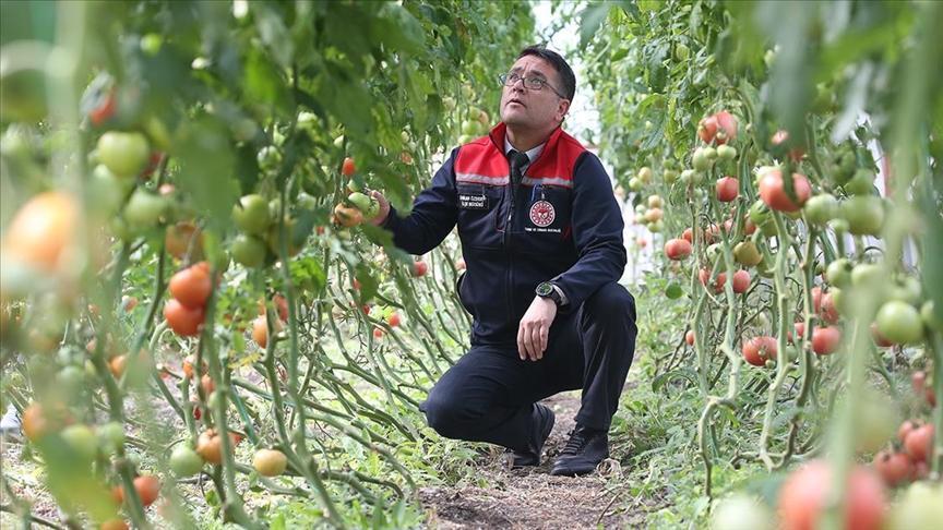 ziraat muhendislerinin olusturdugu sera vatandaslara ilham oldu ZvcbtKPN