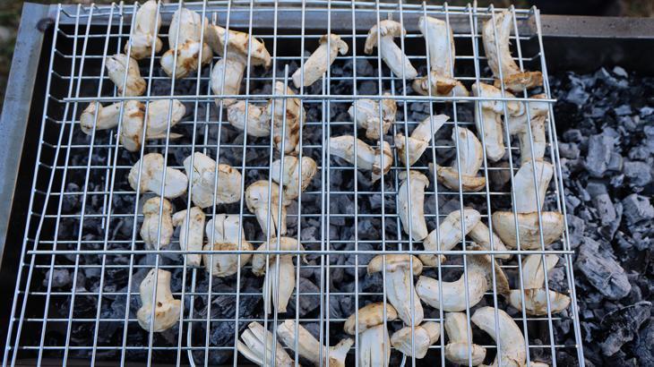 kilosu etle yarisiyor japonlarin gozdesi sedir mantari cikti xyHfbH6U.jpg