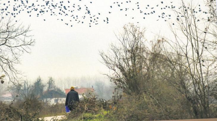 yerli oyunlar aile kavramini sorguluyor gUKh8EKG.jpg