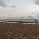 atlas-featured-18517-1775838709-iAgLmR