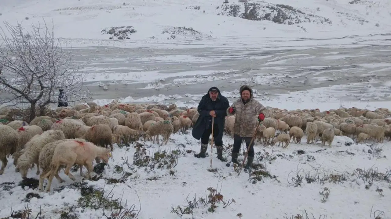 Yoğun Kar Yağışı ve Heyelan: 2 Çoban ve 650 Küçükbaş Hayvan Yaylada Mahsur Kaldı