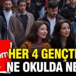 tuikin-istatistiklerle-genclik-2025-raporu-her-4-gencten-1i-ne-okulda-ne-iste-scqayXOm