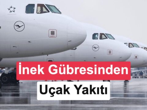 İnek gübresi jet yakıtına dönüşüyor!