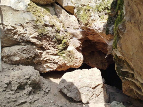 Haber gorseli