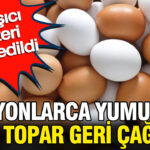 Haber gorseli