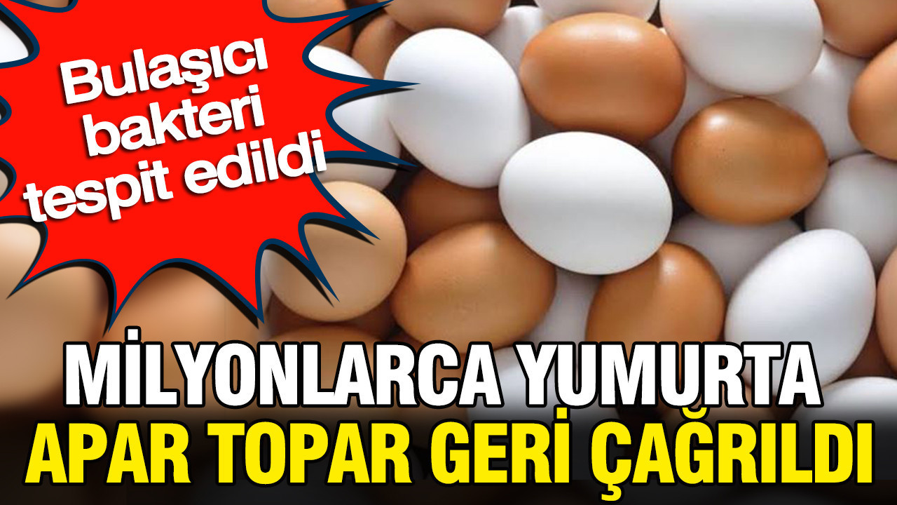 Haber gorseli