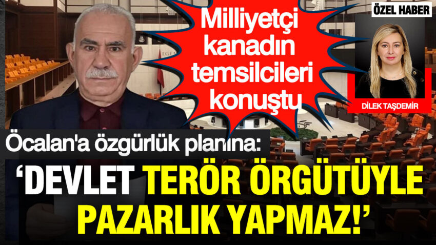 Haber gorseli